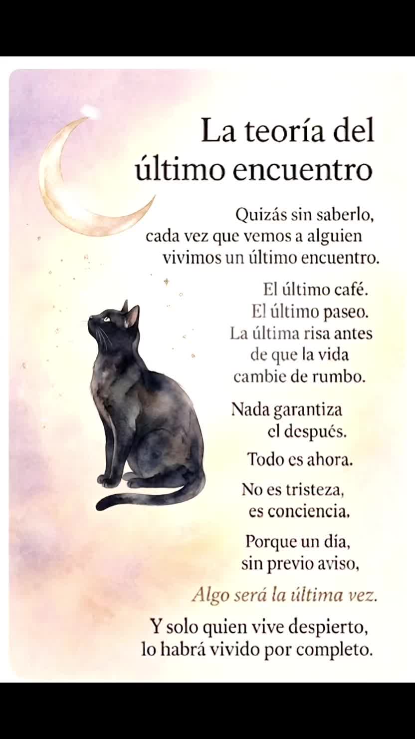 @GSELRIG 🌙🌻🐈⬛