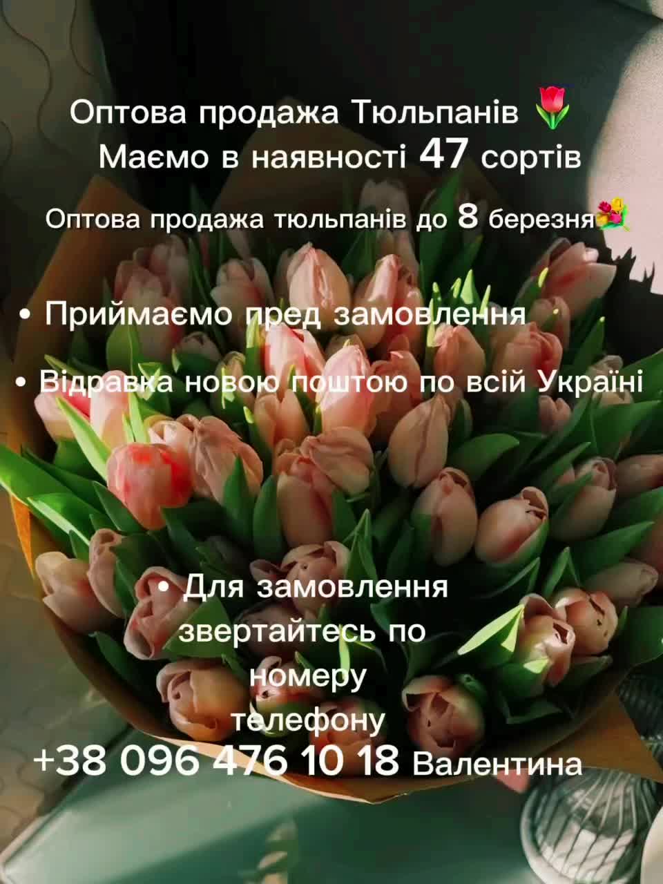 @🌸Valentinka🌸