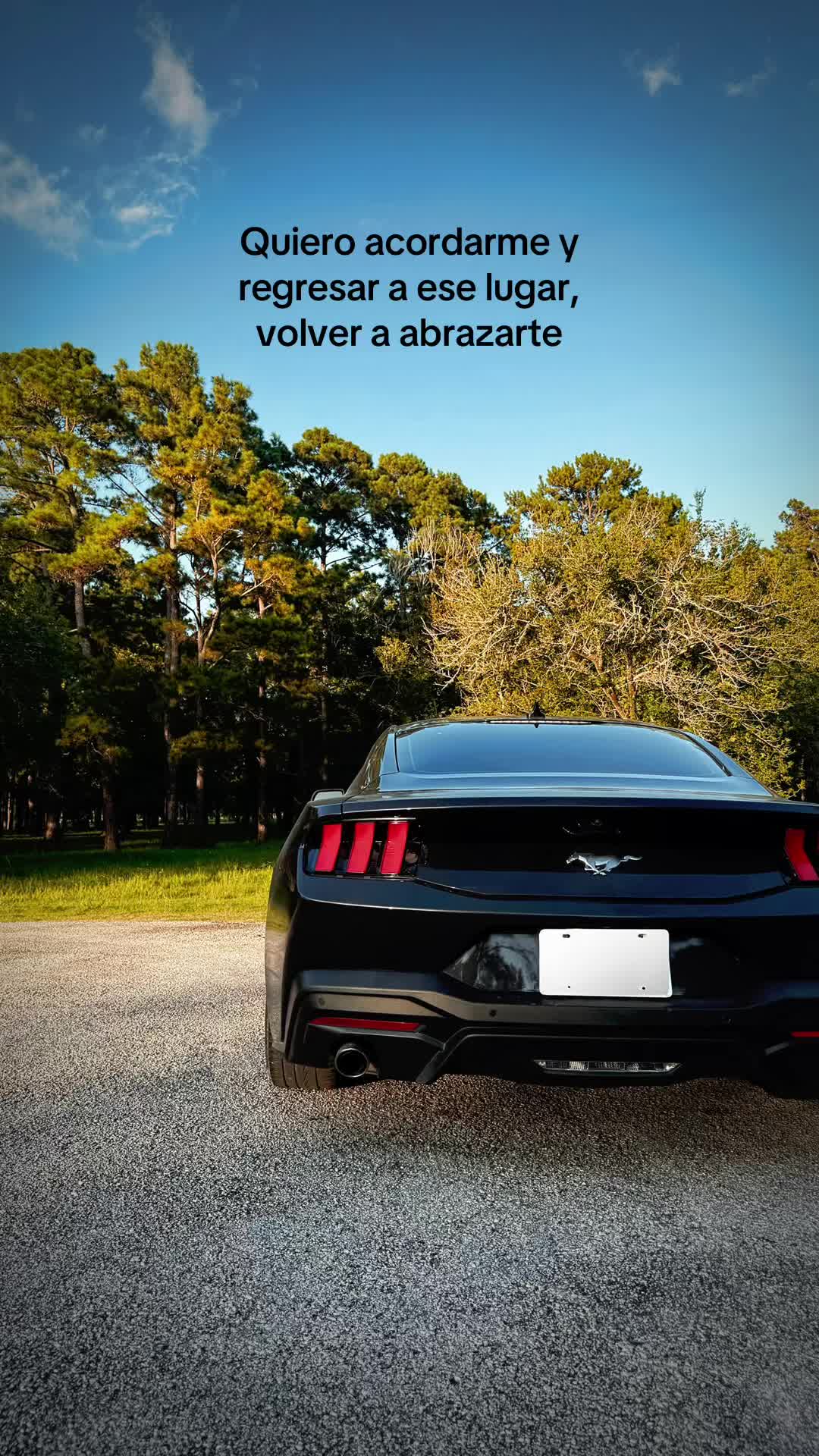 @Tania Pérez
