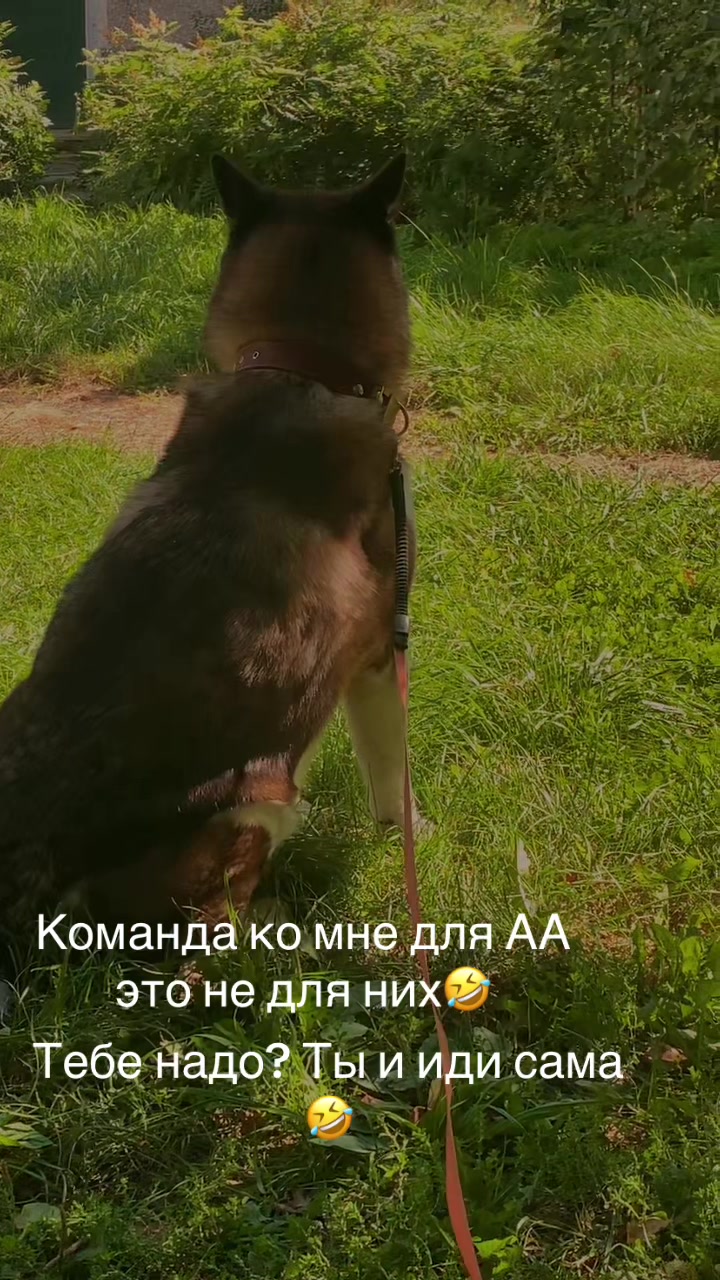 @Lis