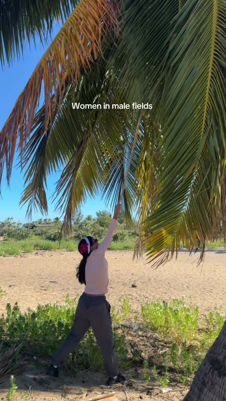 @montselewin