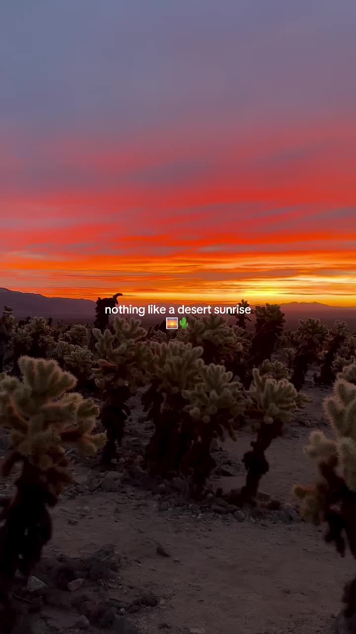 @AllTrails