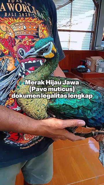 @mediykfarm
