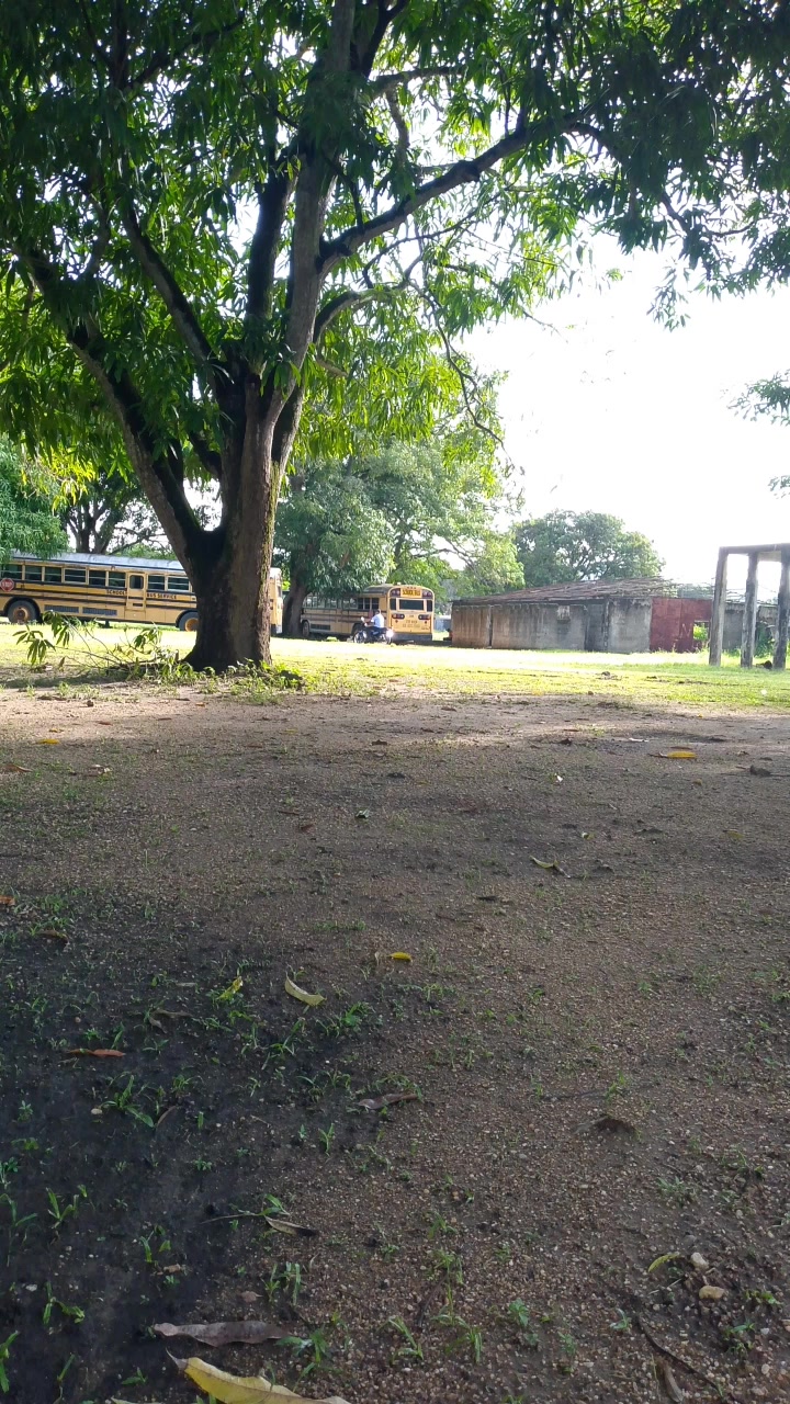 @PedroBaldallo 07