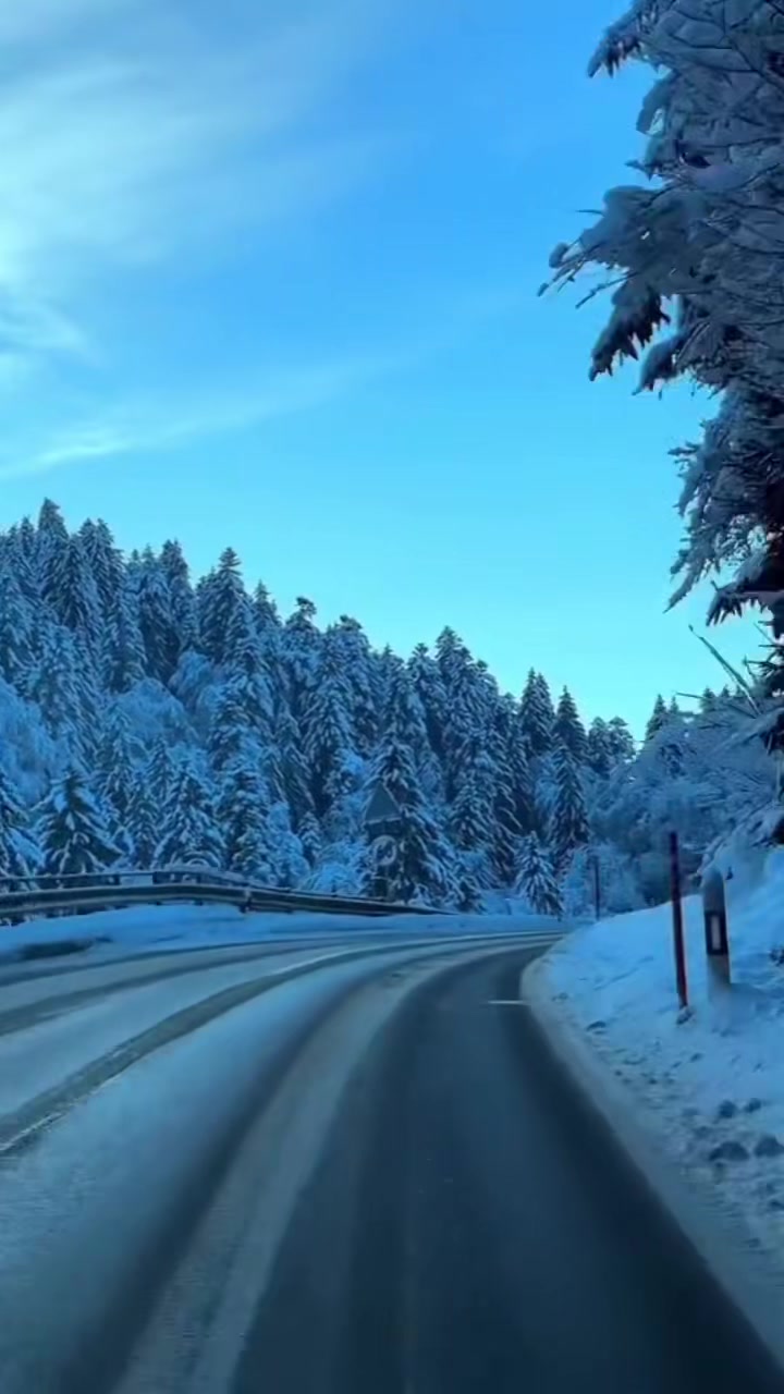 @jayro947