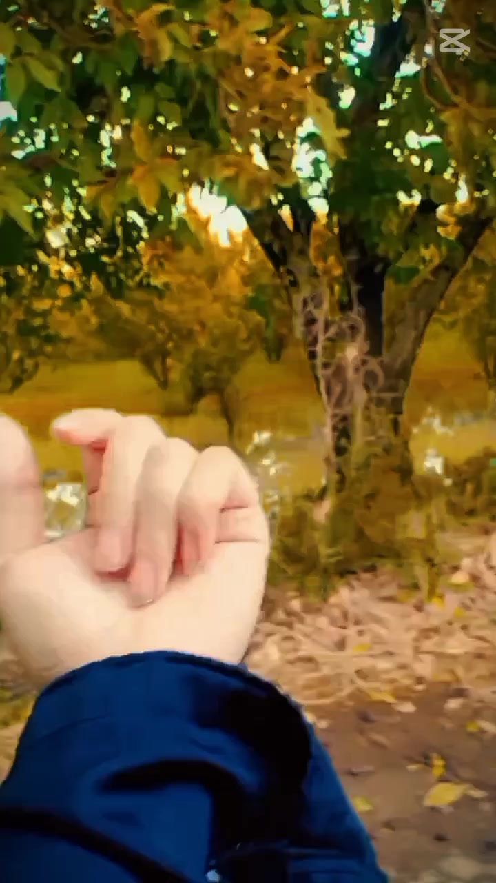 @zidiqueen