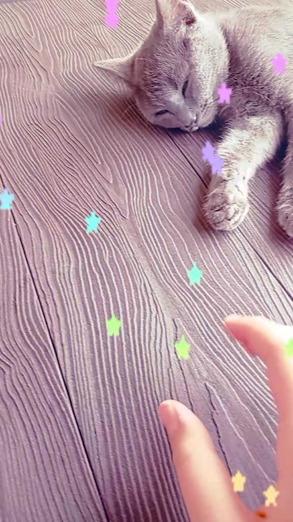 @𝓜𝓲𝓵𝓮𝓭𝓲 𝓓𝓪𝓶𝓪🪽