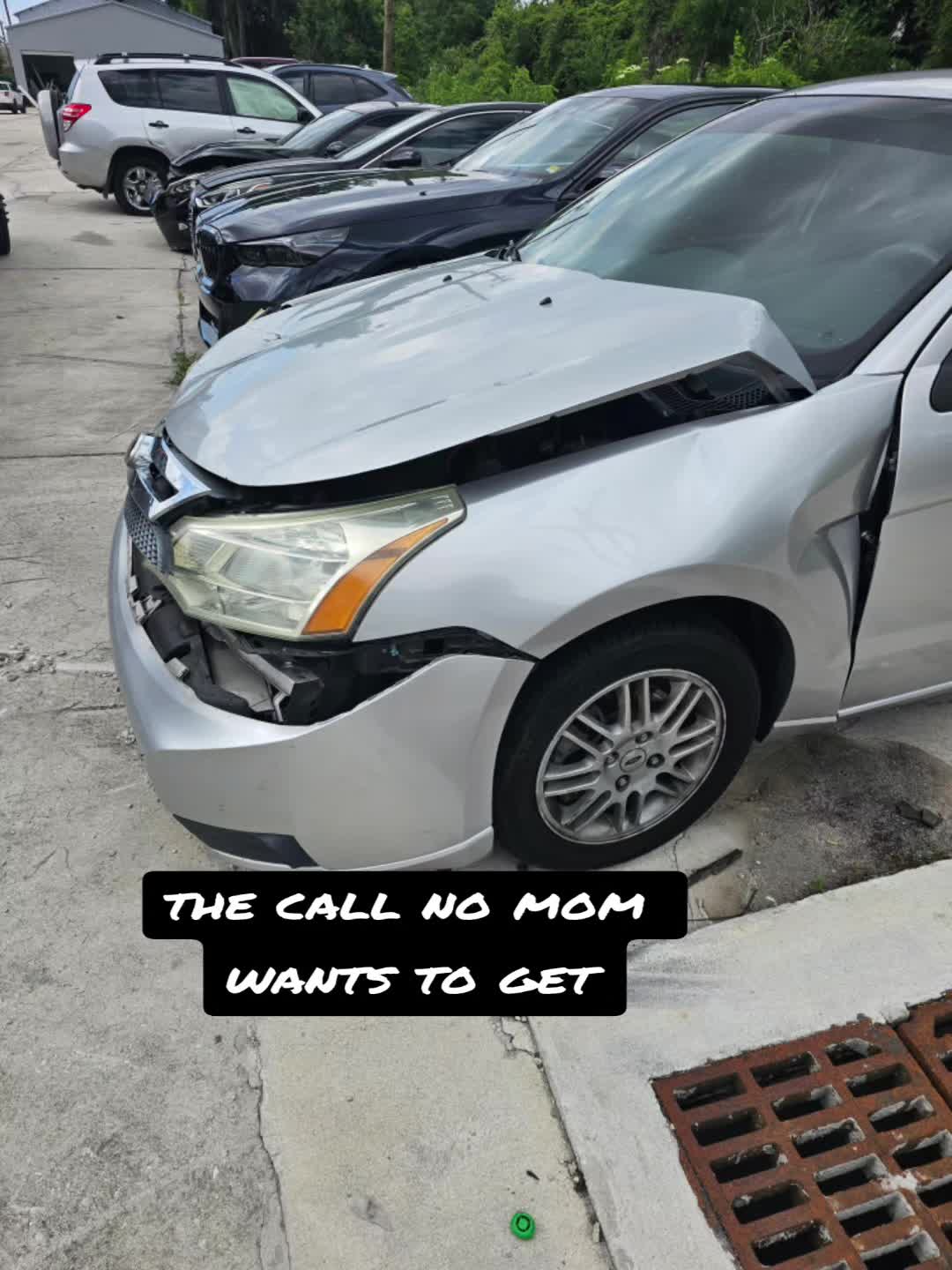 @Carla hale