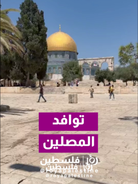 @Royapalestine رؤيا فلسطين