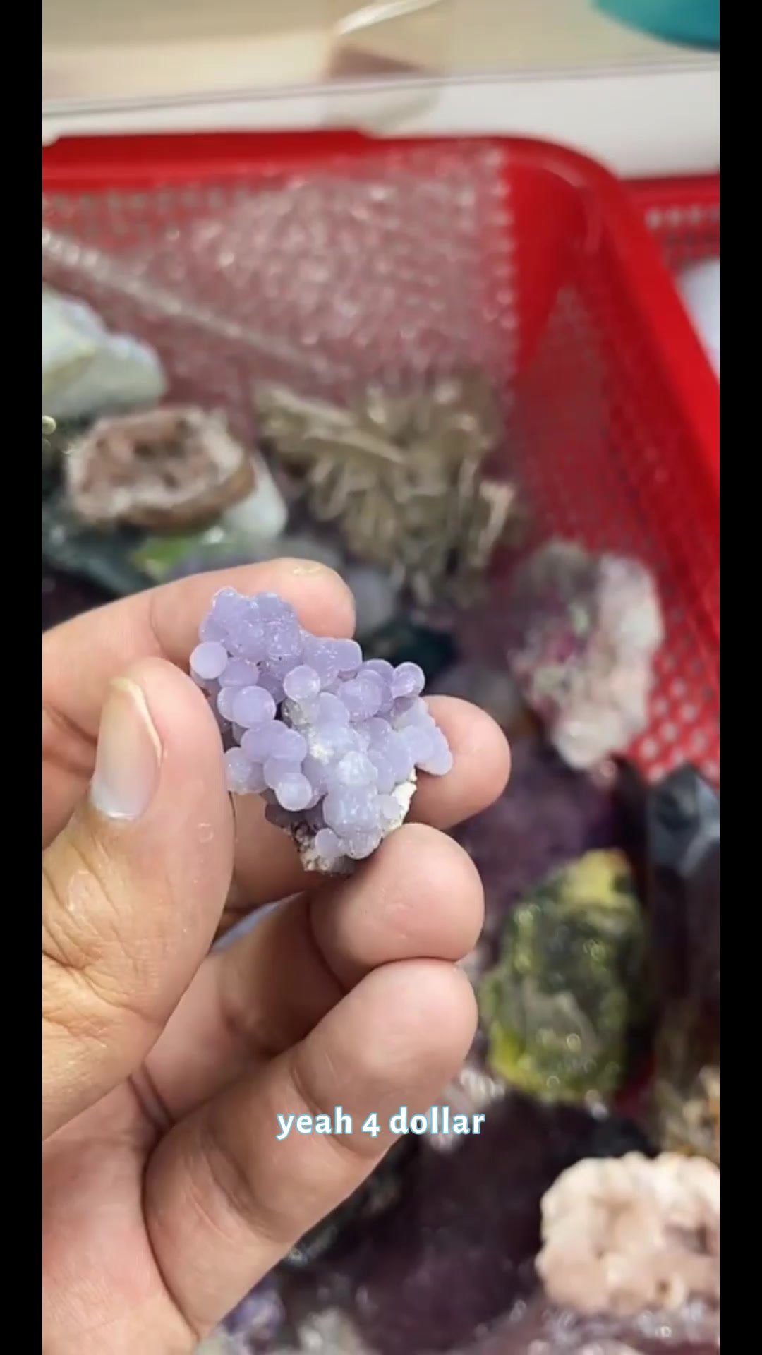 @IG Crystal Paradise