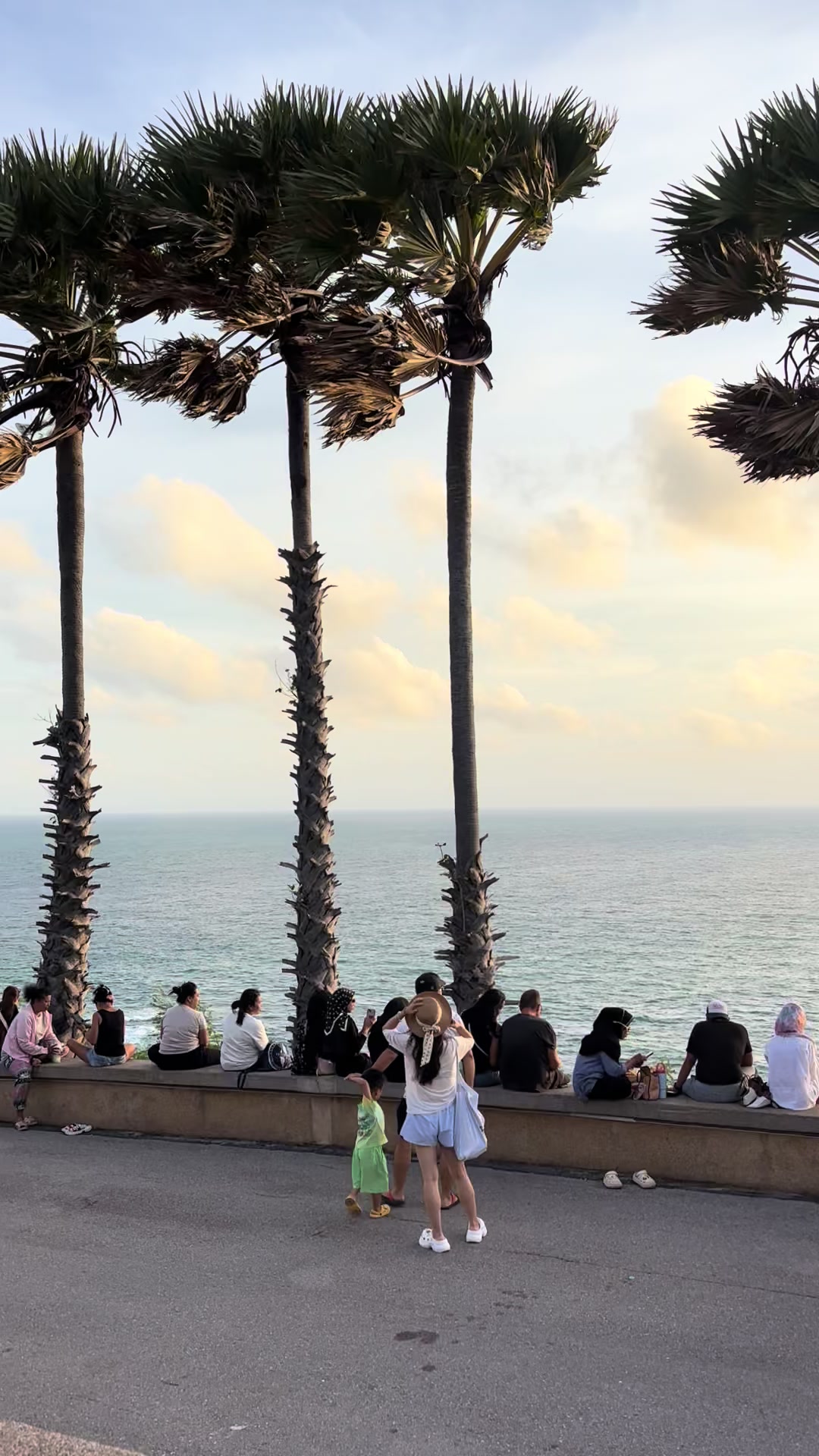 @steshalotos