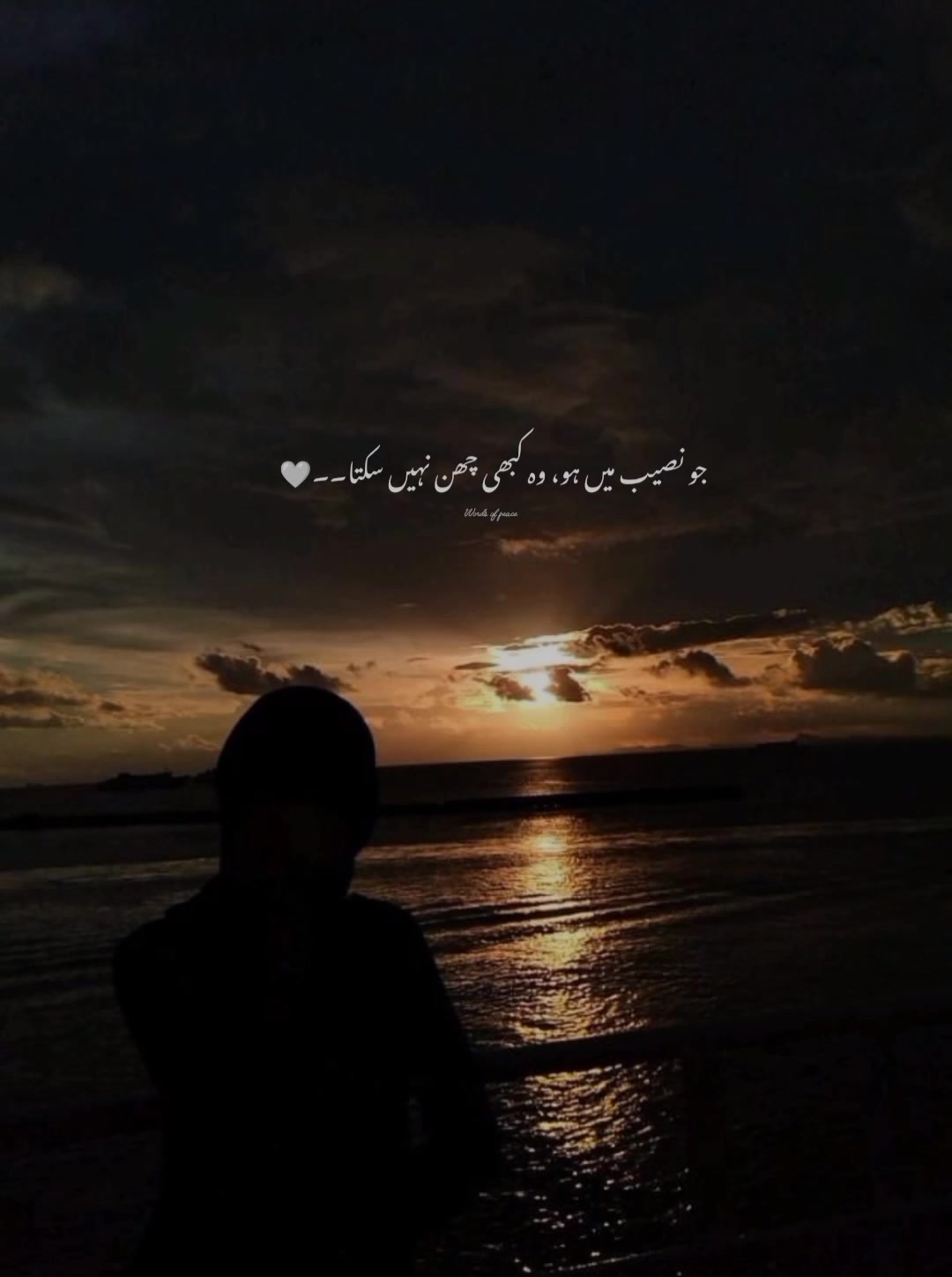 @قلم کی نمی🥀