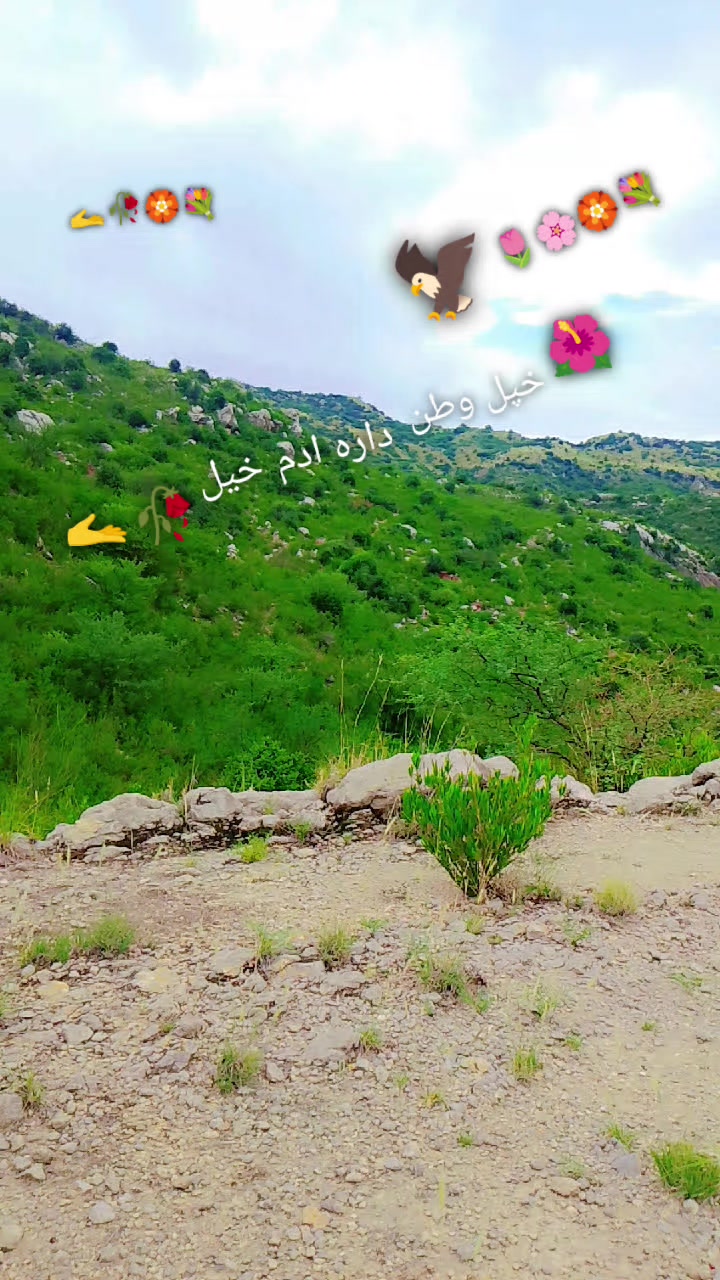 @Faizan _khan 368