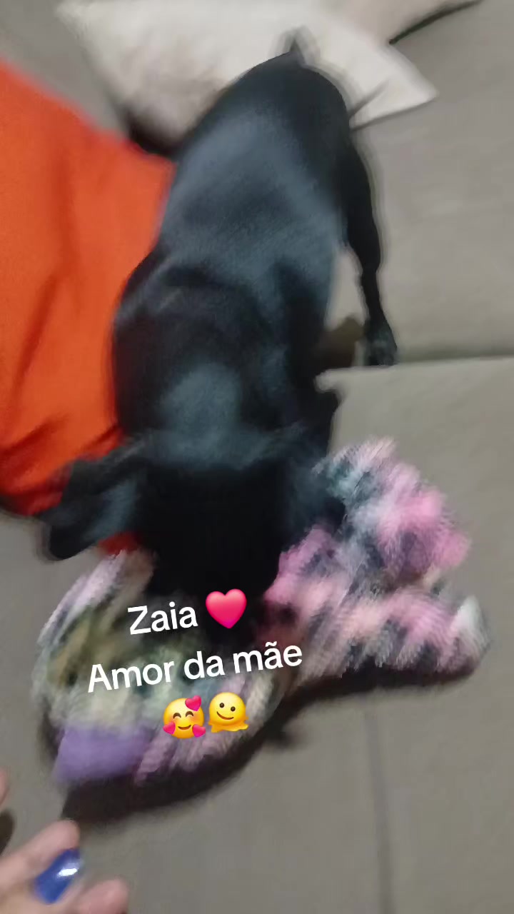 @DEBBY 🇧🇷😎🙏