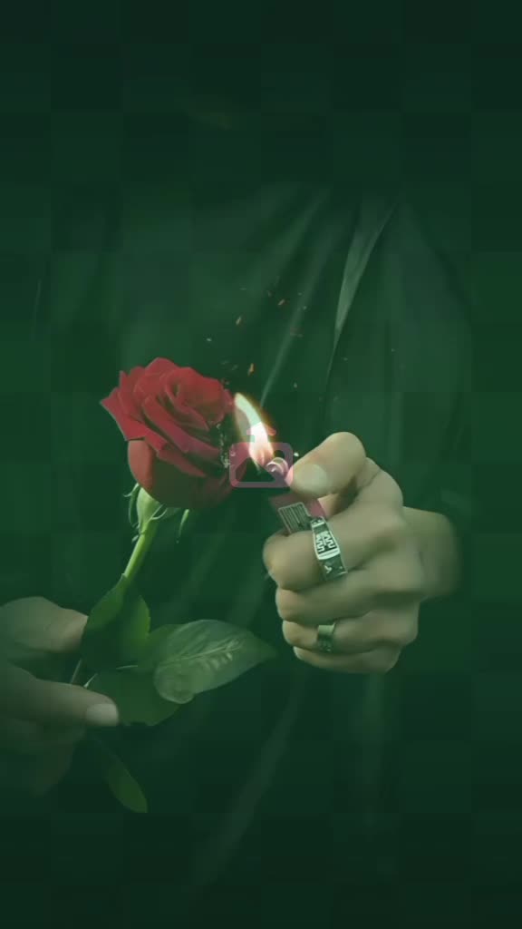 @Sahar Noor