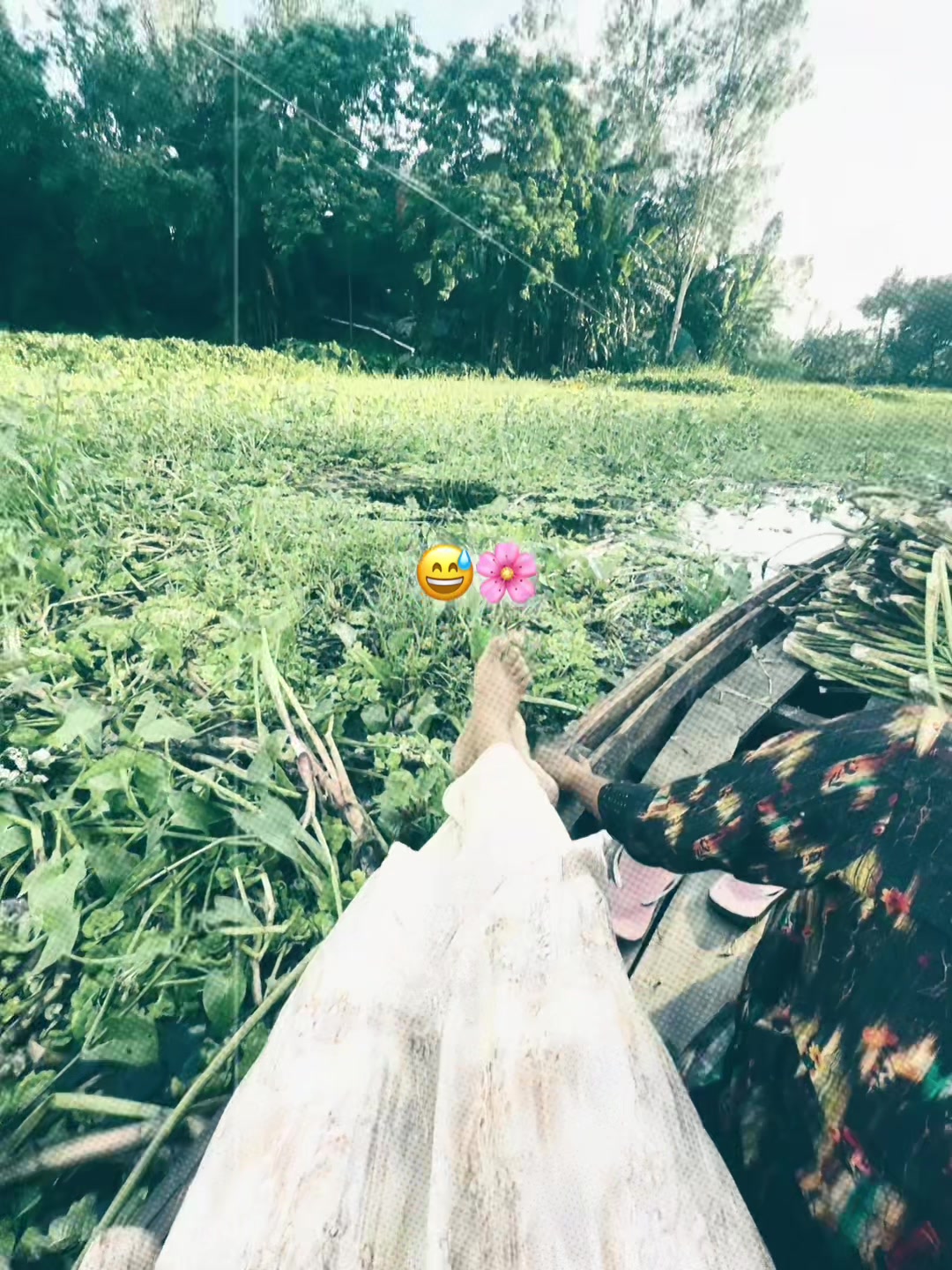 @🕊️
