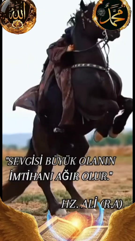 @🇹🇷Canan🇵🇸☝️🤲