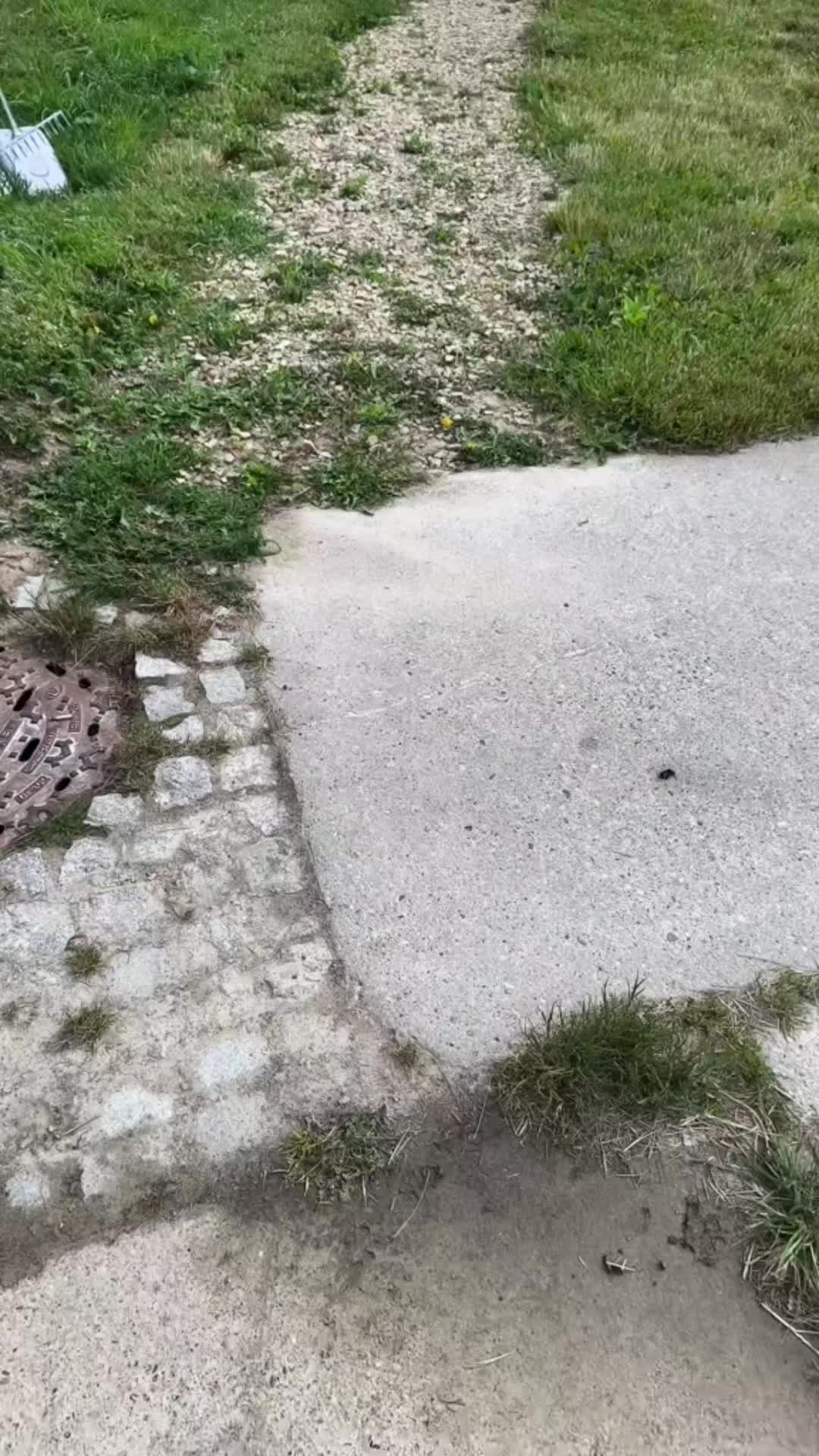 @IG:wilku__1996