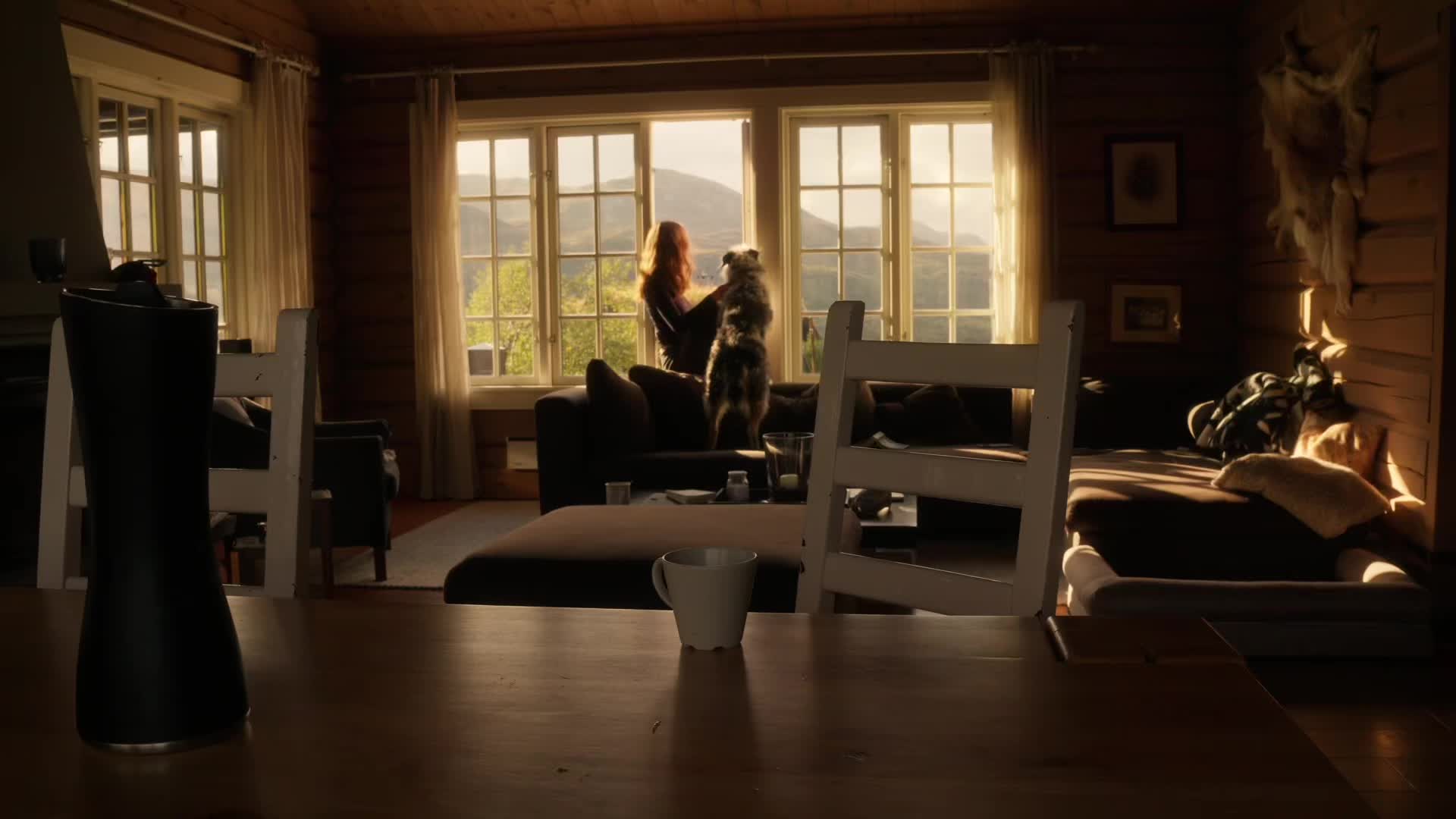 @🐻