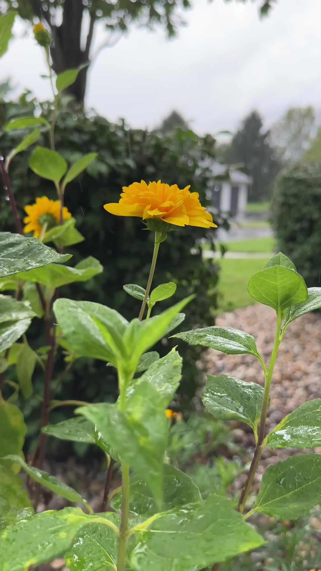 @aarti_kc 🧿