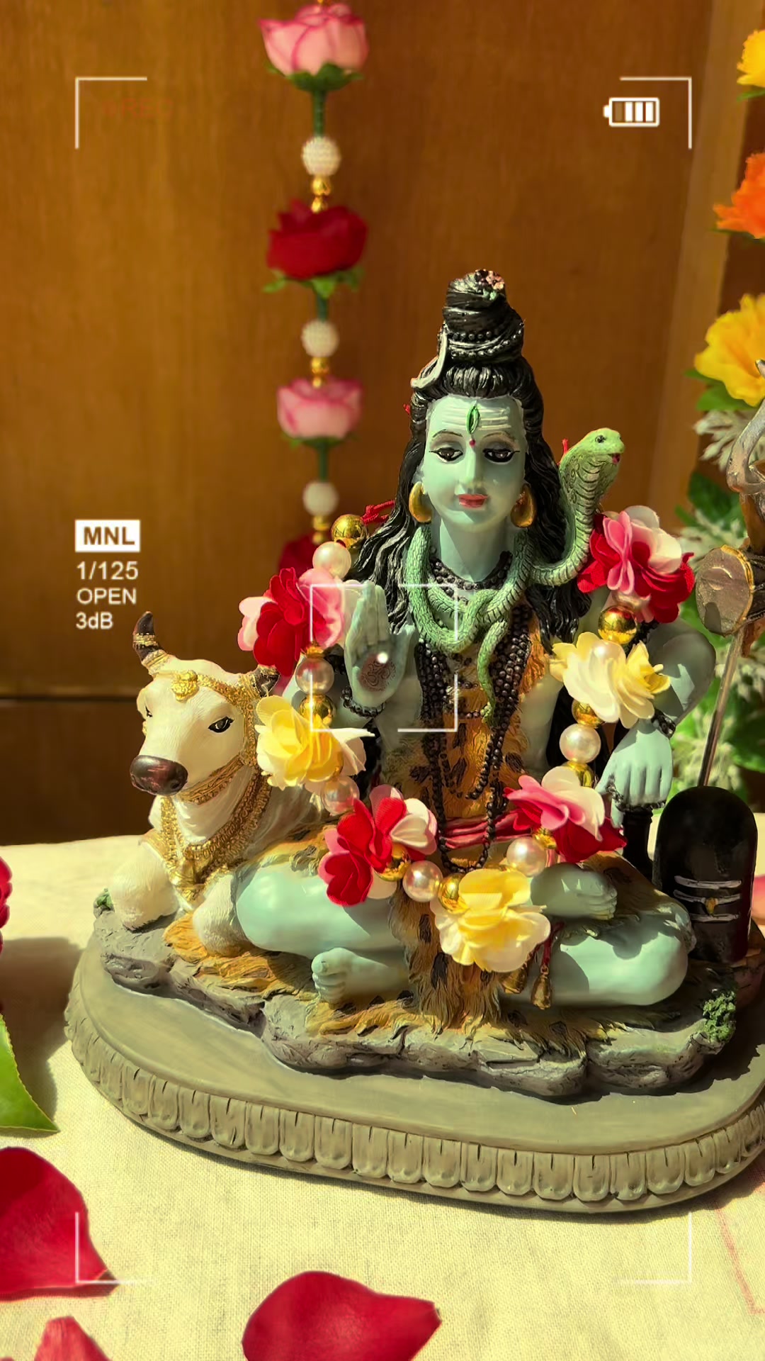 @Alikiki Murtis