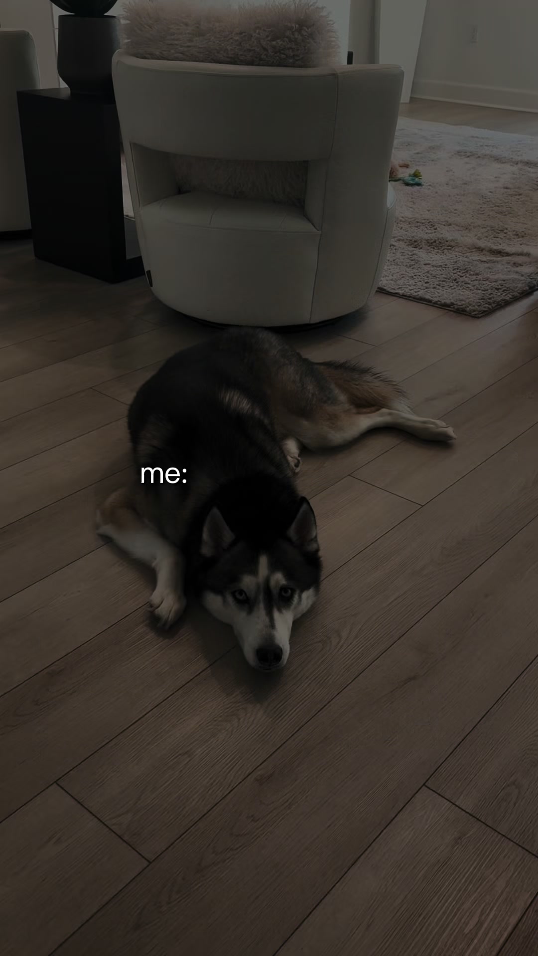 @lifewith2huskies