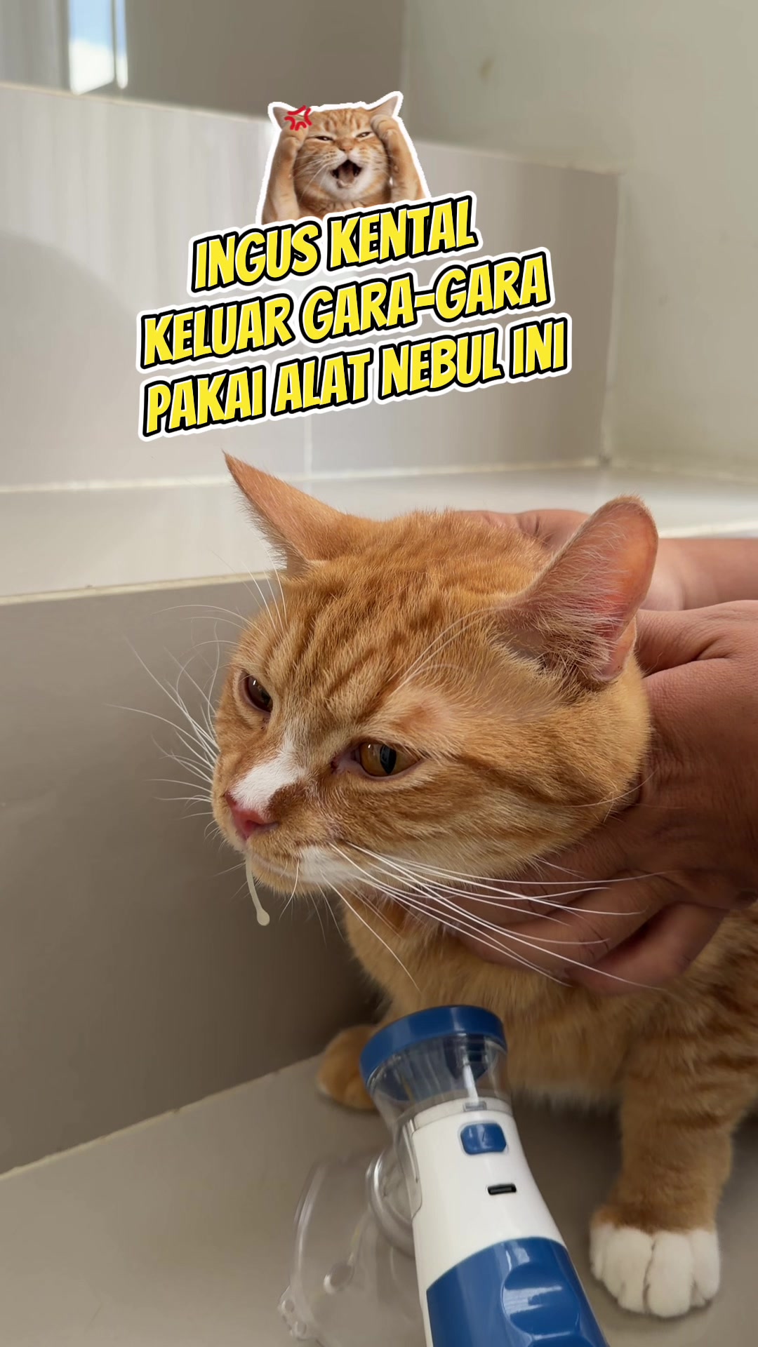 @Rapalguna | bapakkucing 🐱