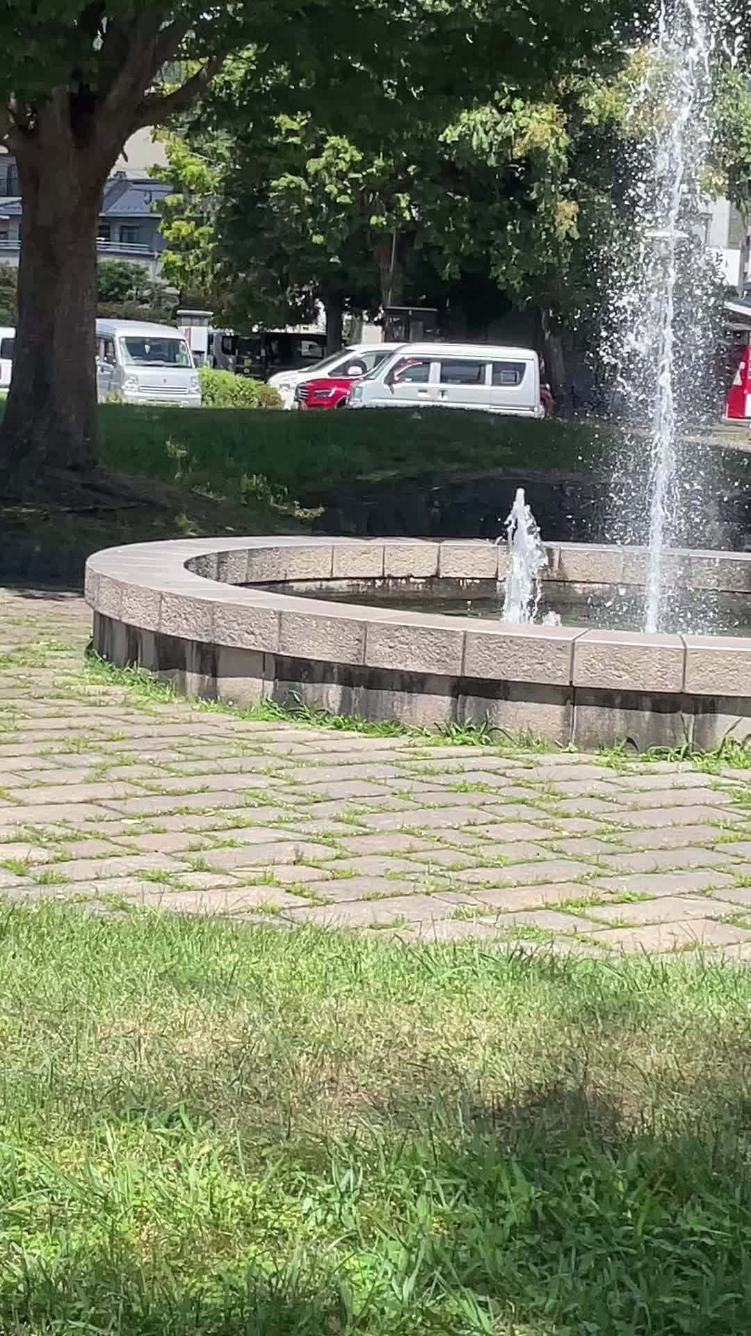 @限界中学生ローディー