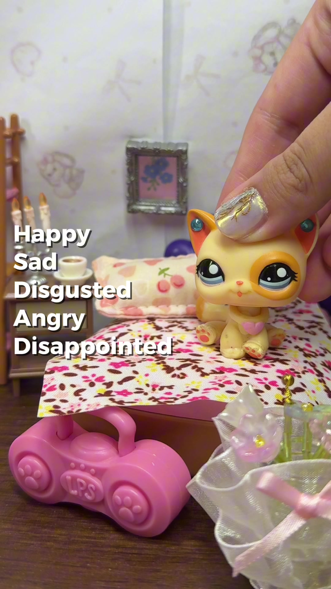 @LPS Evie౨ৎ