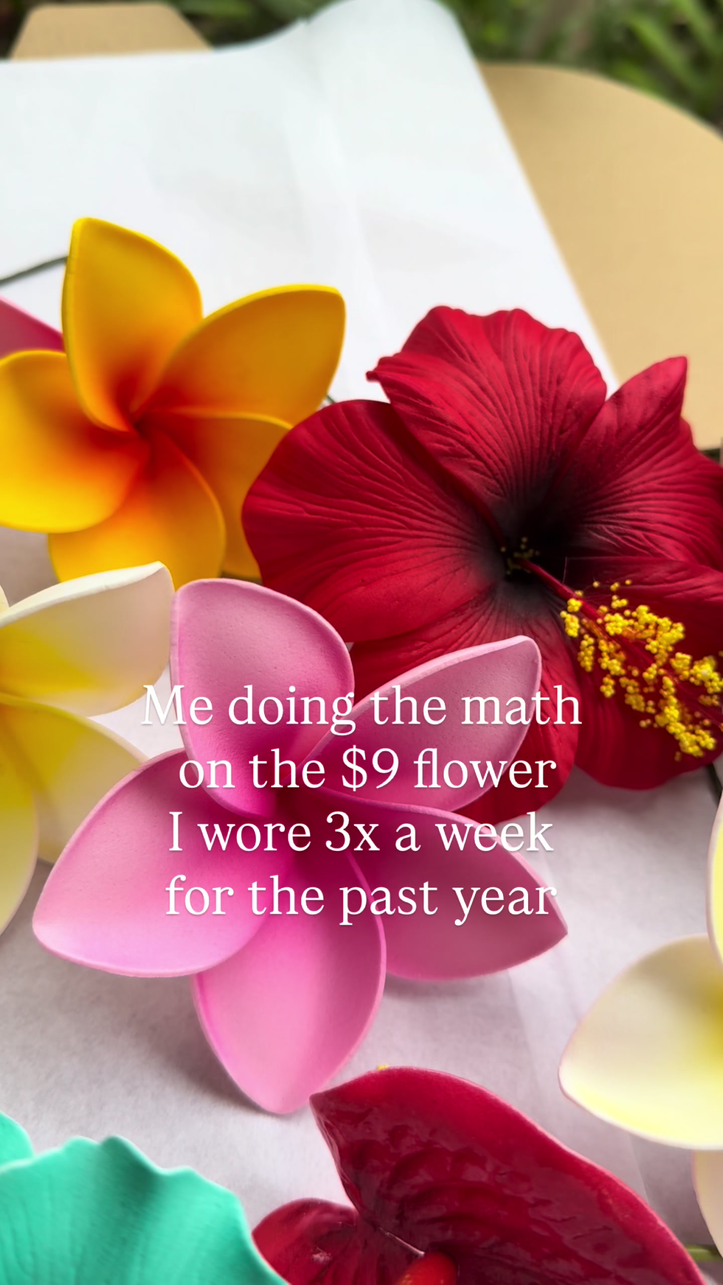@Island Aesthetica 🌺 Pasifika