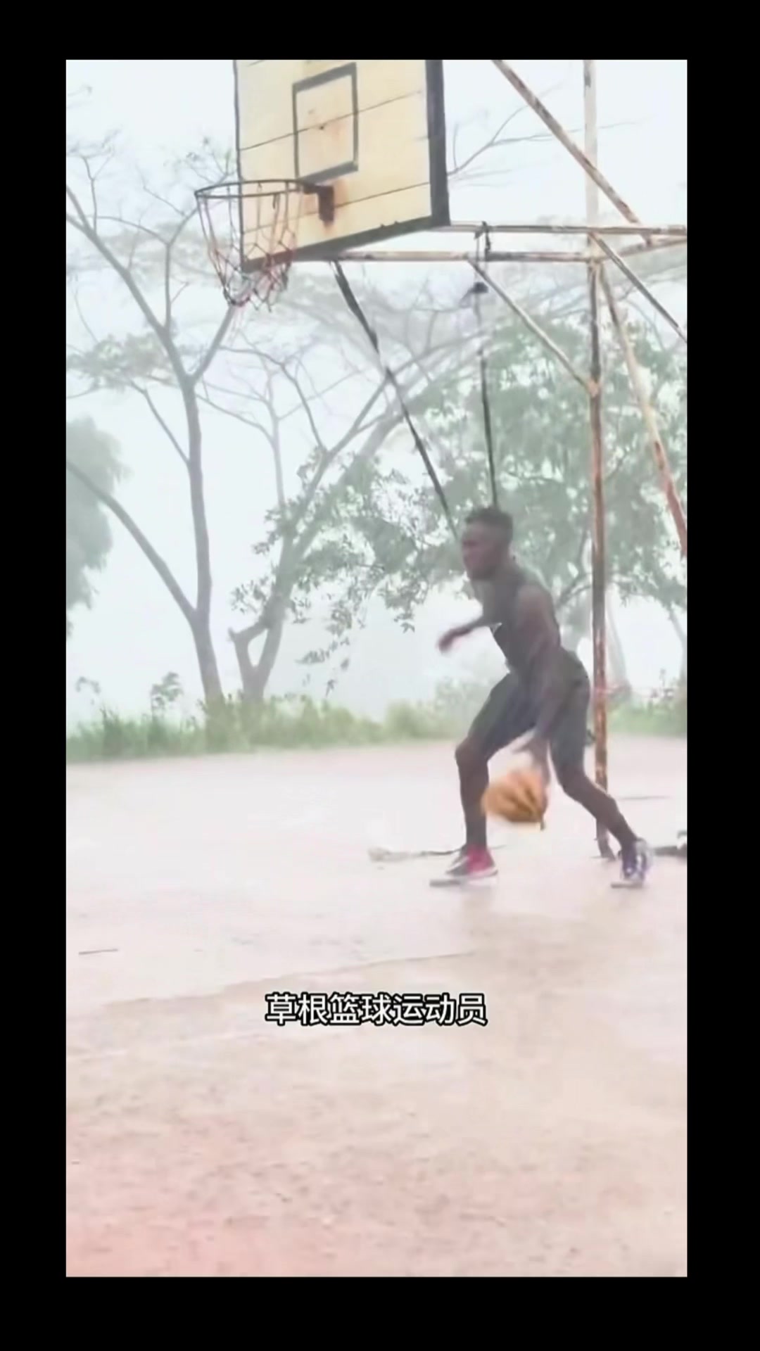 @沧海一粟3