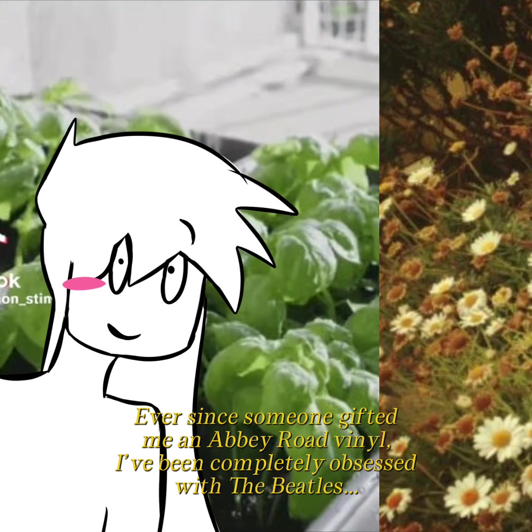 @𝙒𝙀𝙒𝘼 ꧂ 🪲🔆