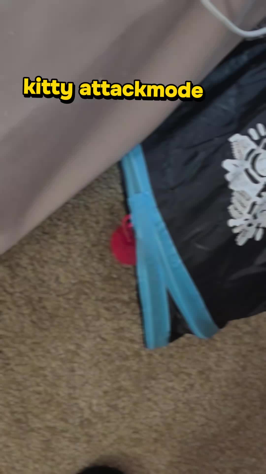 @Kittyboi