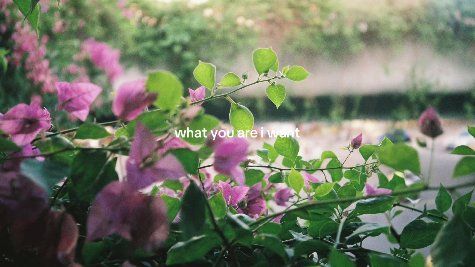 @theyearning.archive