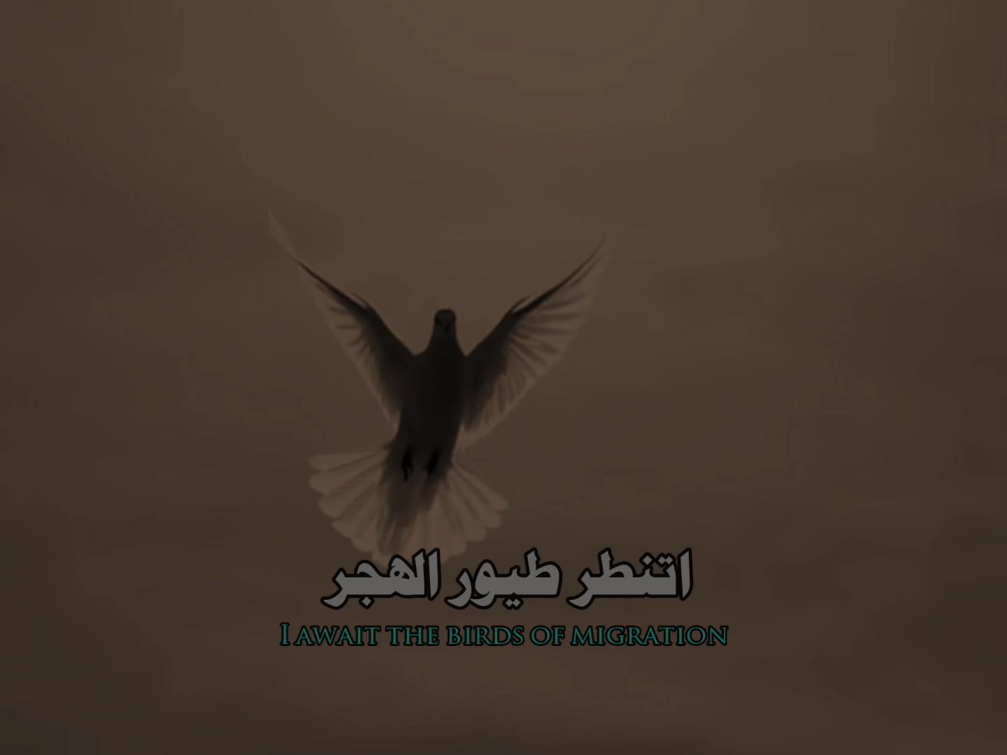 @🗽🎖️ 𝐃 𝐀 𝐍 𝐄 𝐀 𝐋