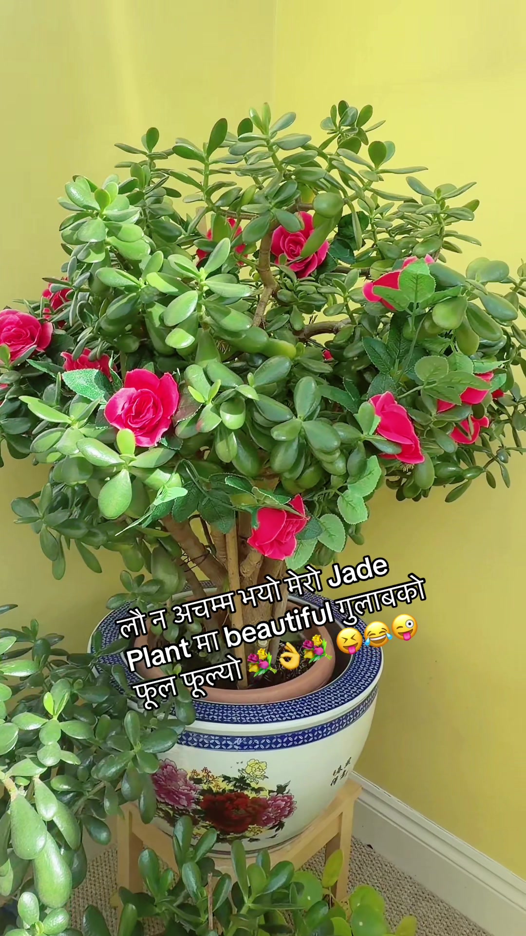 @Karishma Gham