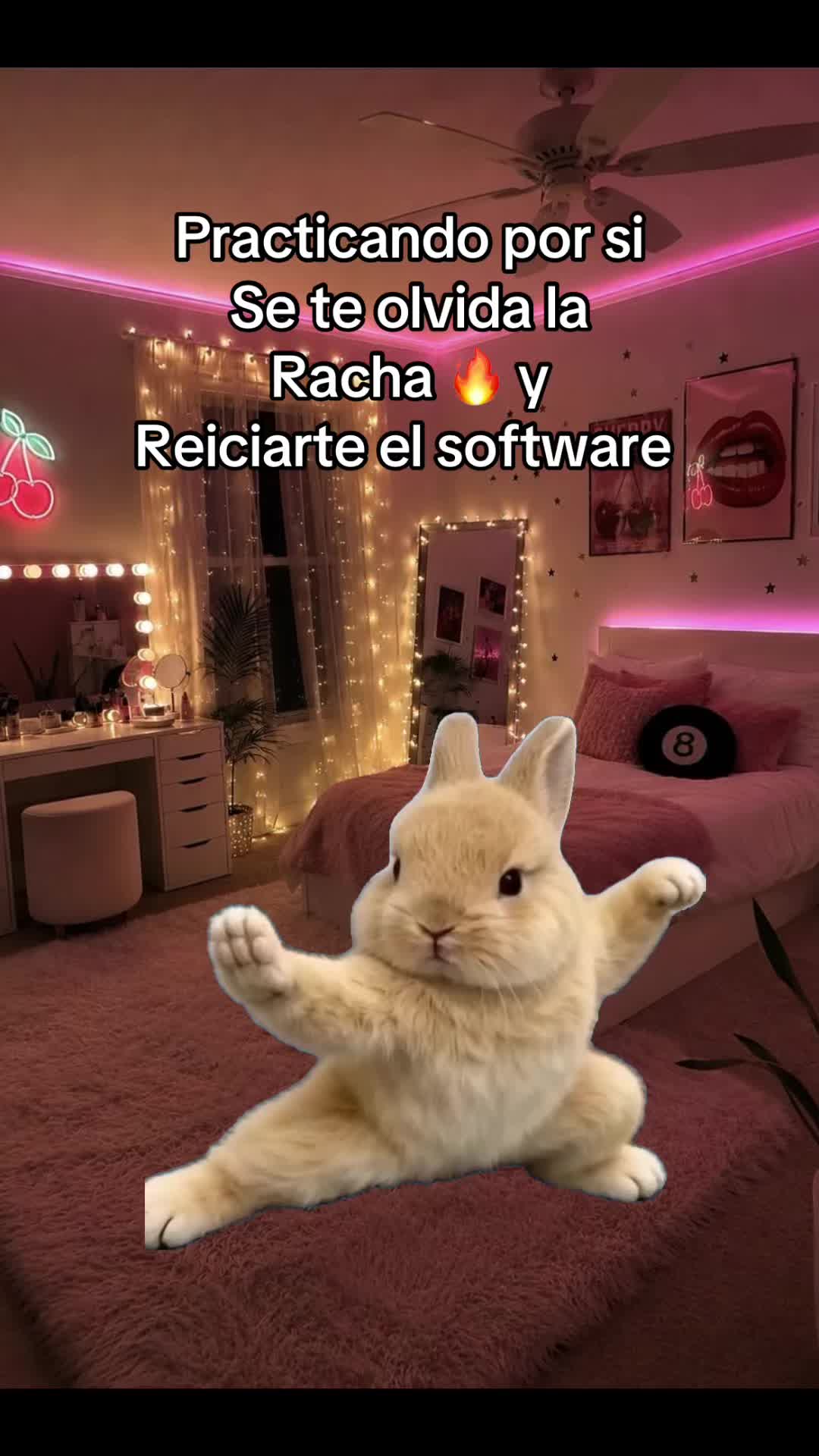 @❤️Orquidea AC❤️🏄🏼♂️🐕🦁🕊️