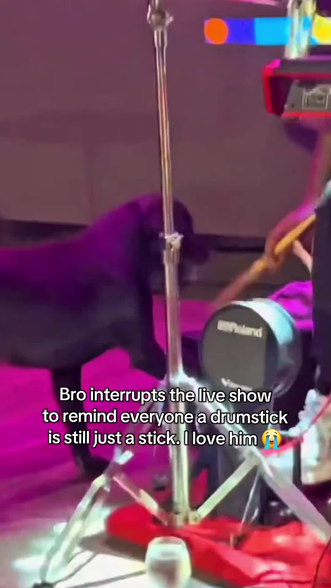 @Pawsitivitycore