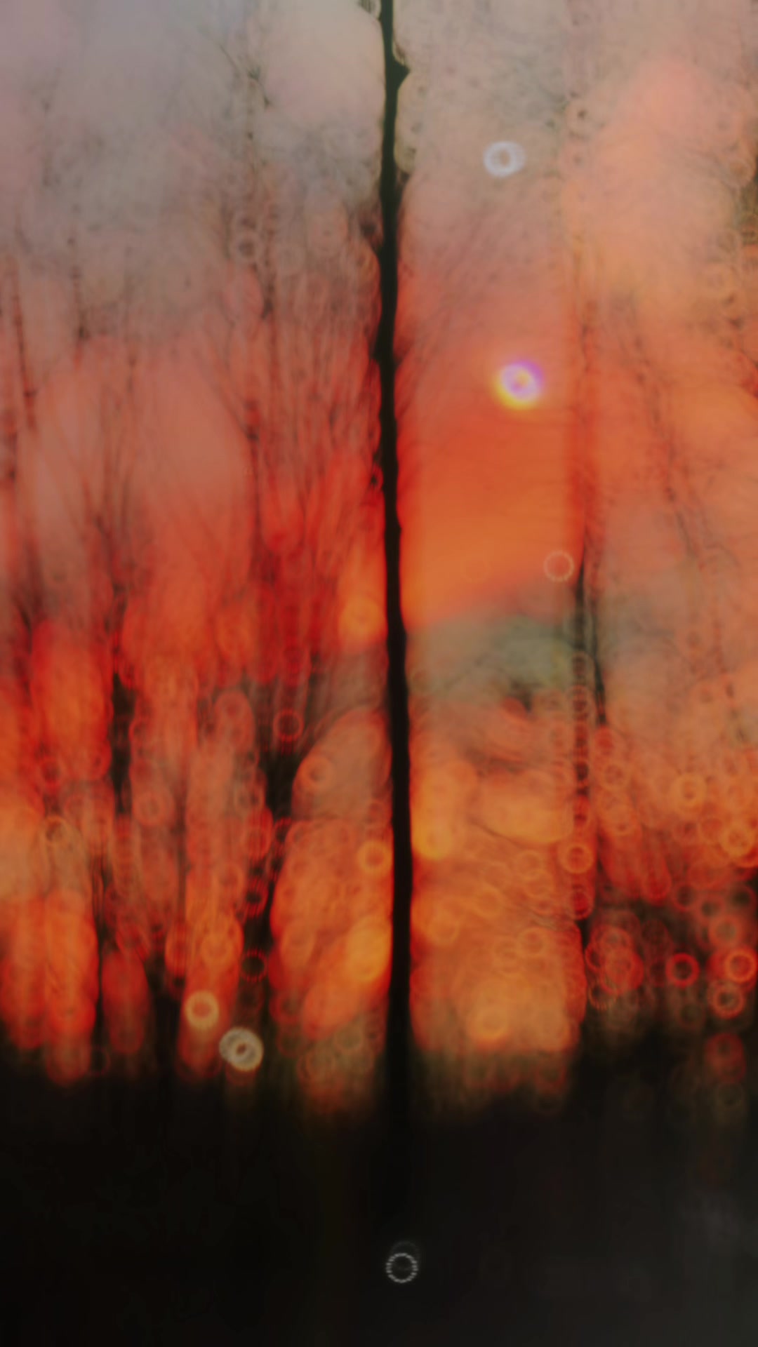 @GenXhausted