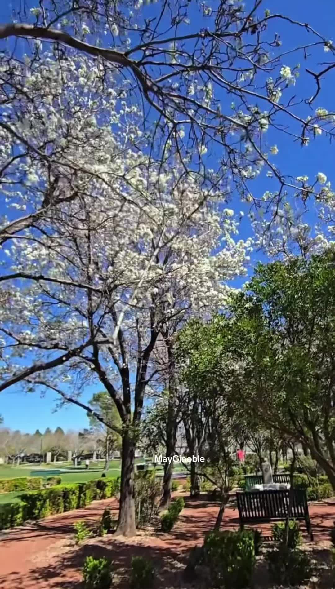 @๐ฆ๐๐๐ช๐พ๐๐๐ ๐๐๐๐