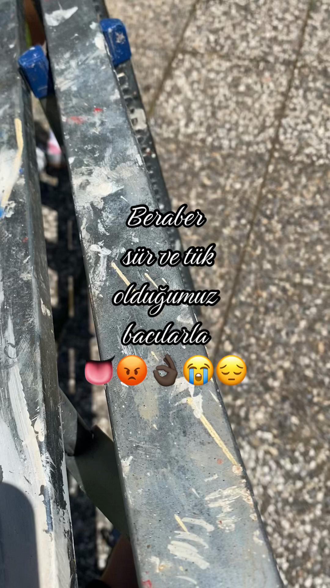 @fokbaliği🦭🎀