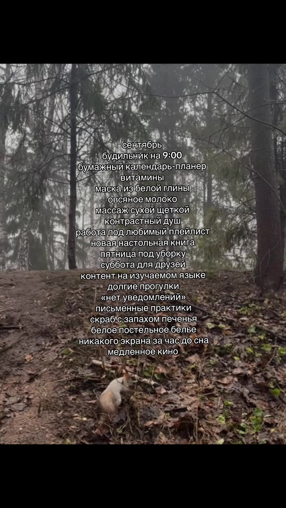 @наташа икигай