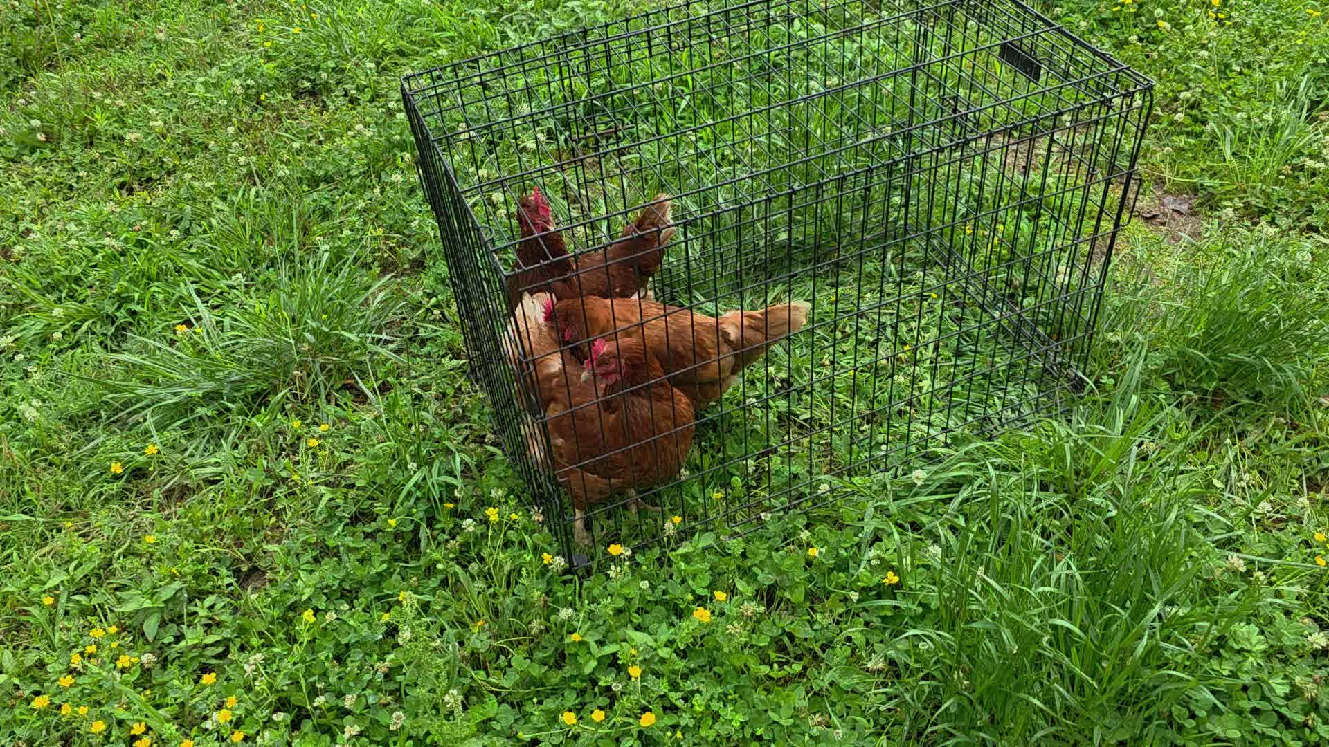 @JMFARMS123