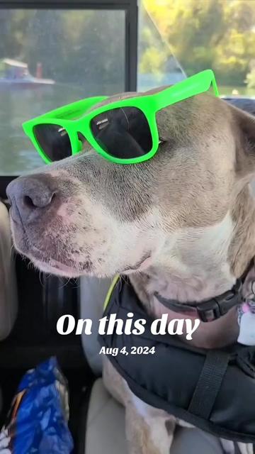 @Oatmeal 🐶🎧❤️🐕