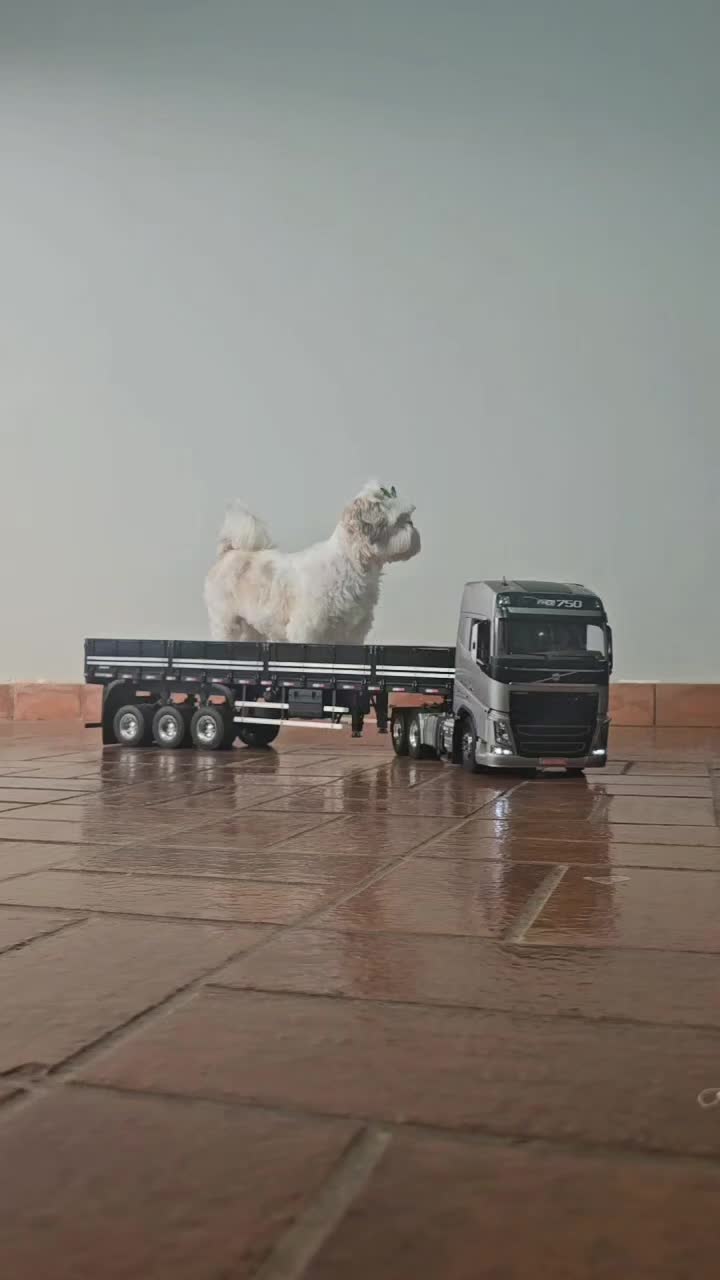 @Estilo Truck RP