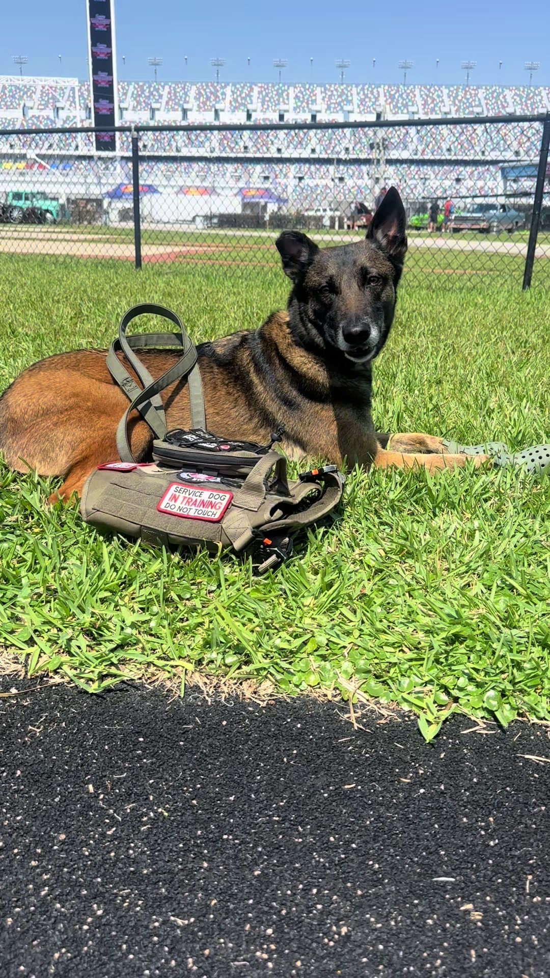 @K9.corporal