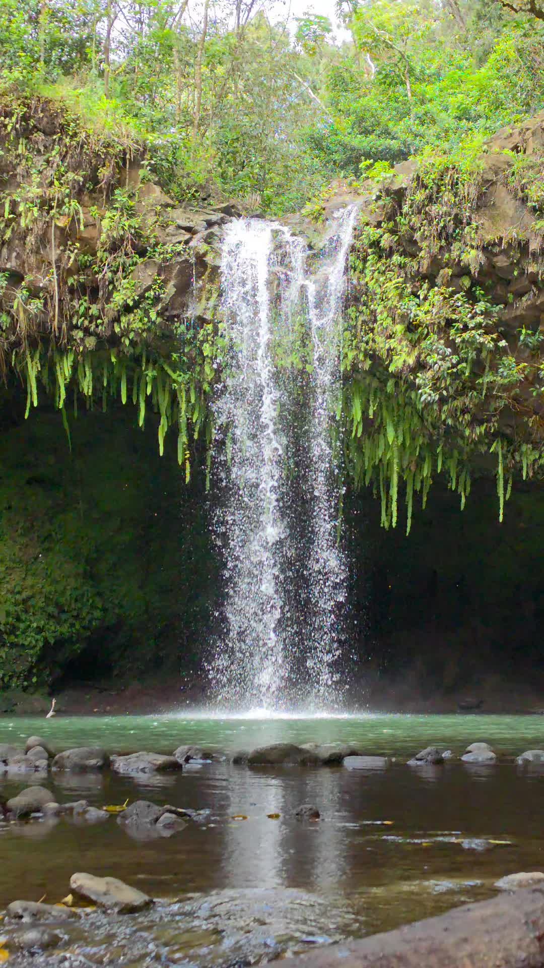 @Hike Maui