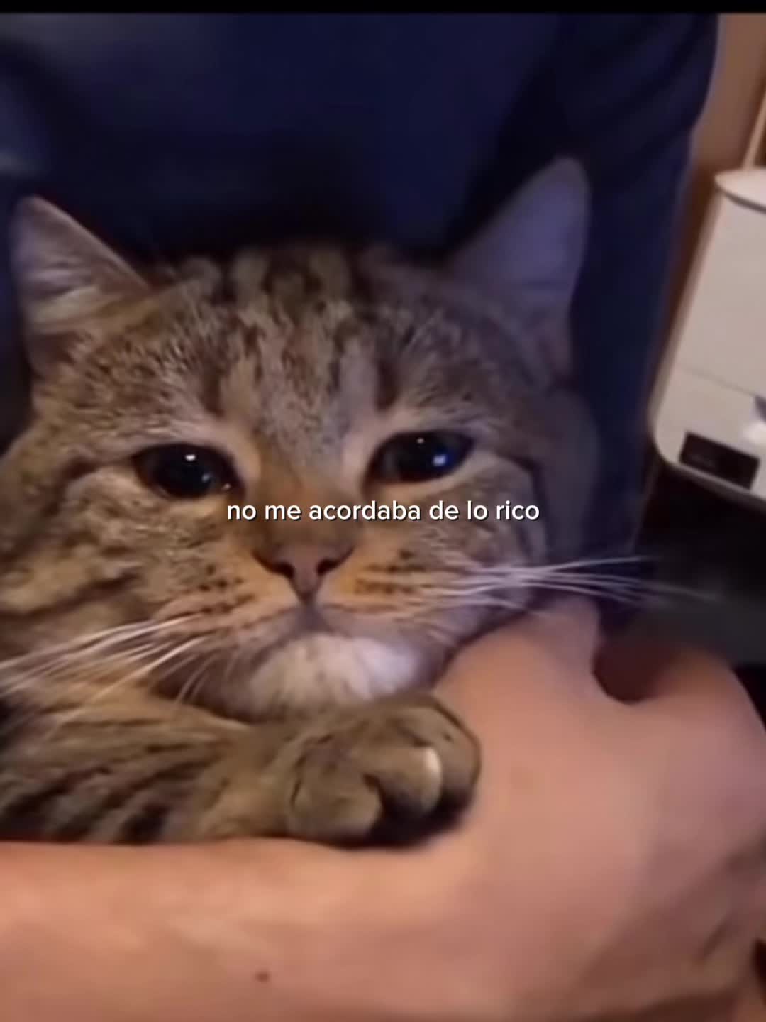@𝙲𝚊𝚗𝚌𝚎𝚛𝚂𝚒𝚖𝚙
