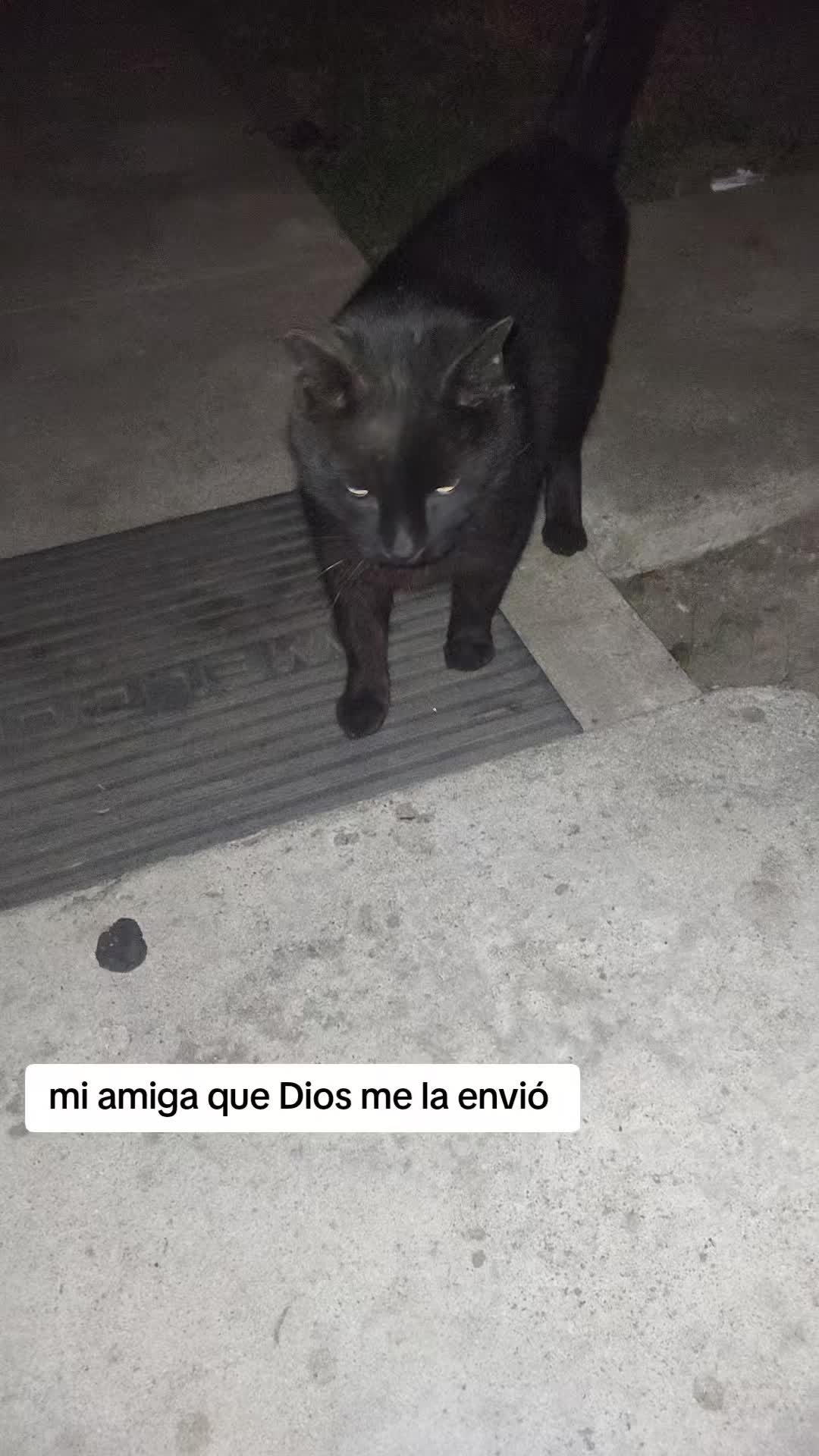 @Elena Canedo
