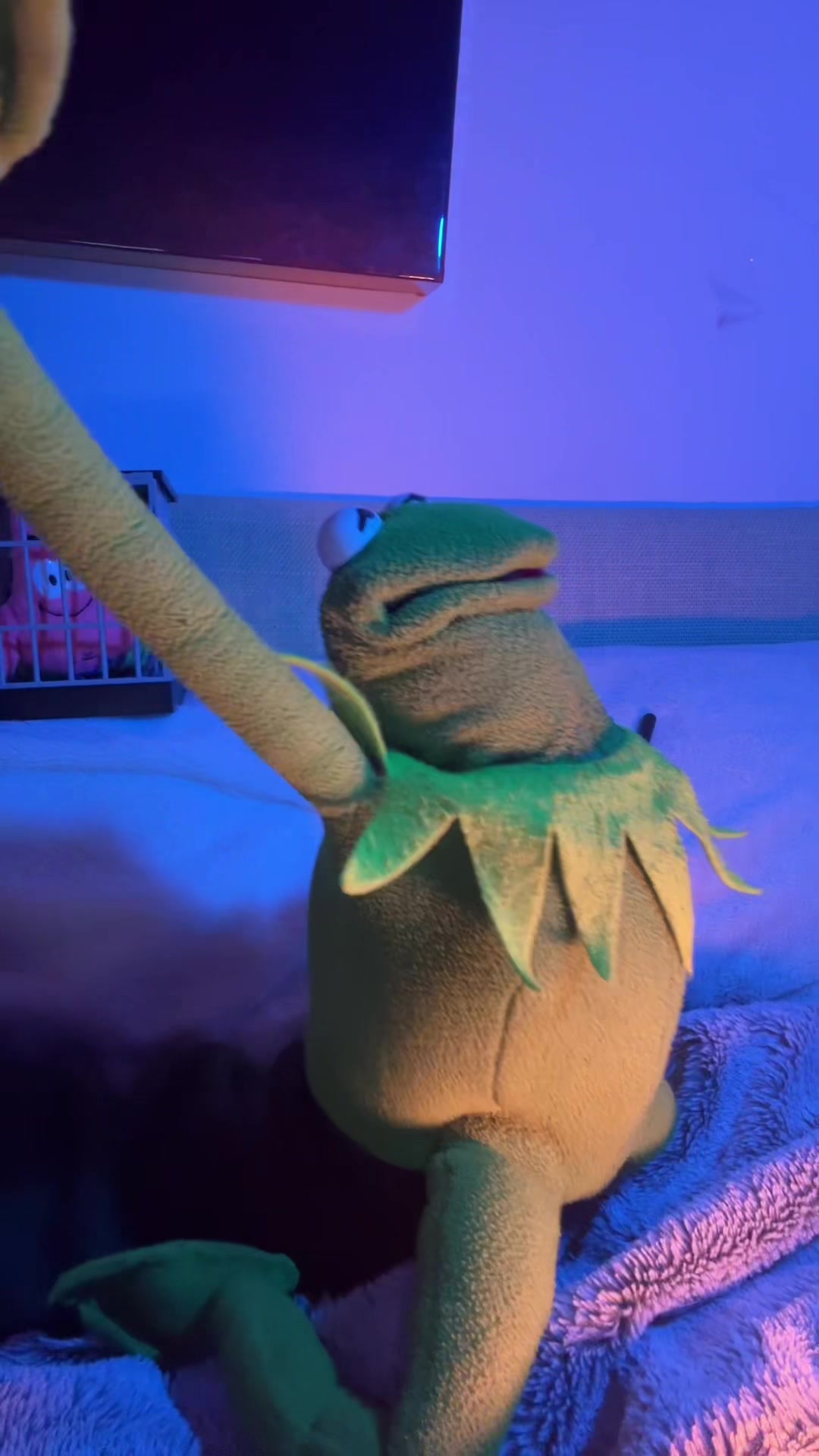 @🐸 Crashout Kermy 🐸